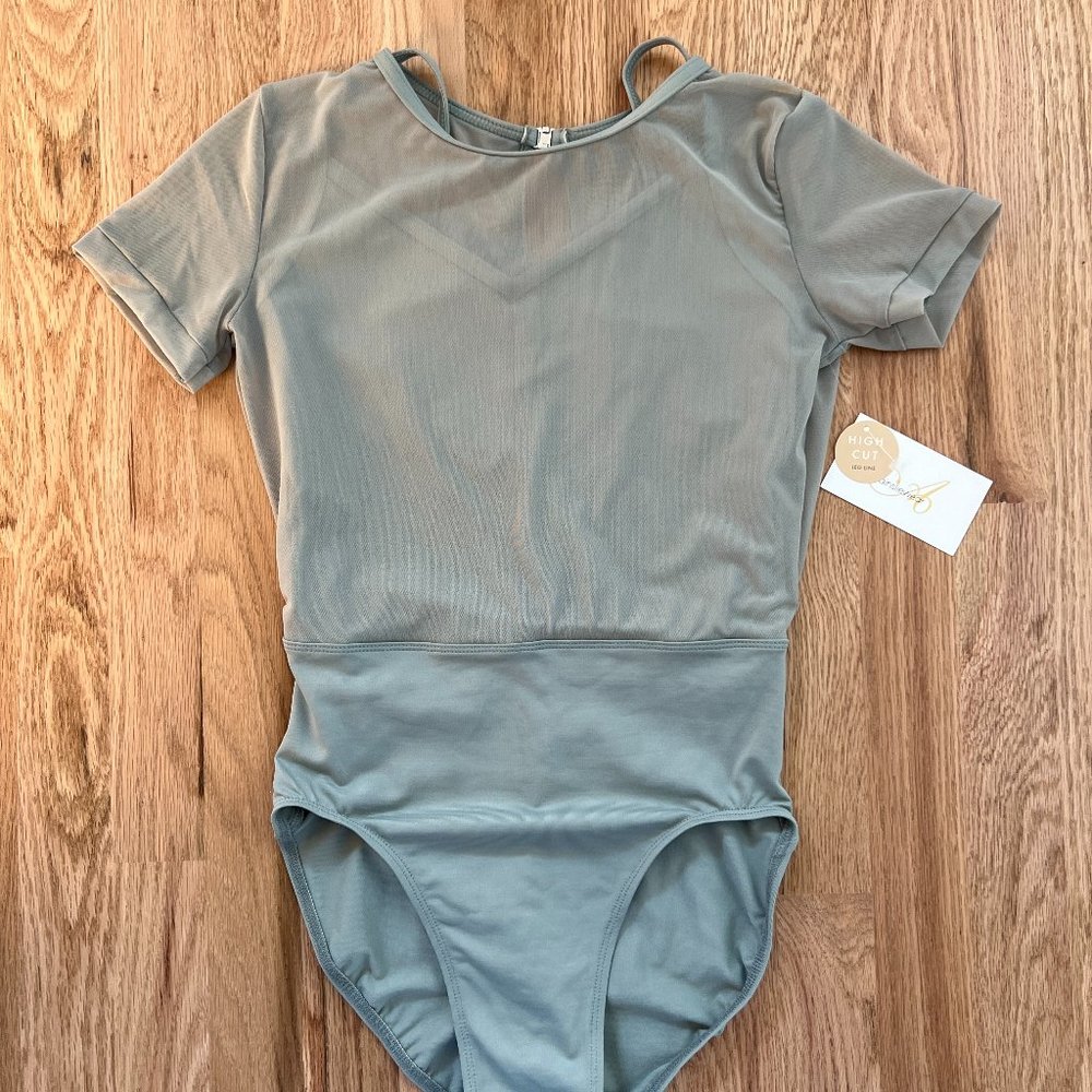 Ainsliewear Adina Leo w/high cut leg line NWT